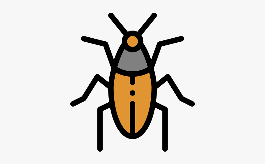 Weevil, HD Png Download