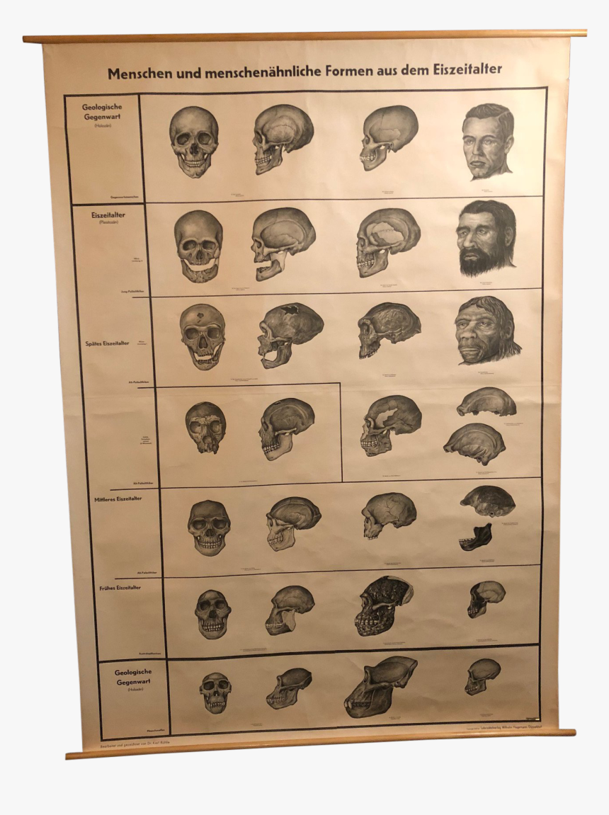 Thumb Image - Paper, HD Png Download