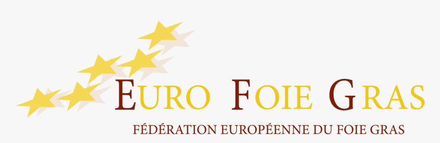 Star, HD Png Download