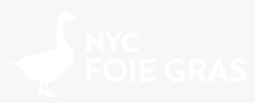 Fg Logo White - Ihs Markit Logo White, HD Png Download