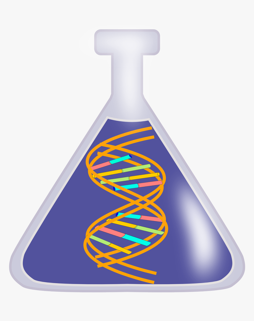 Laboratory Interference Gives False Results On Various, HD Png Download