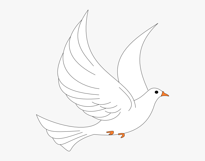 Dove Landing Png, Transparent Png