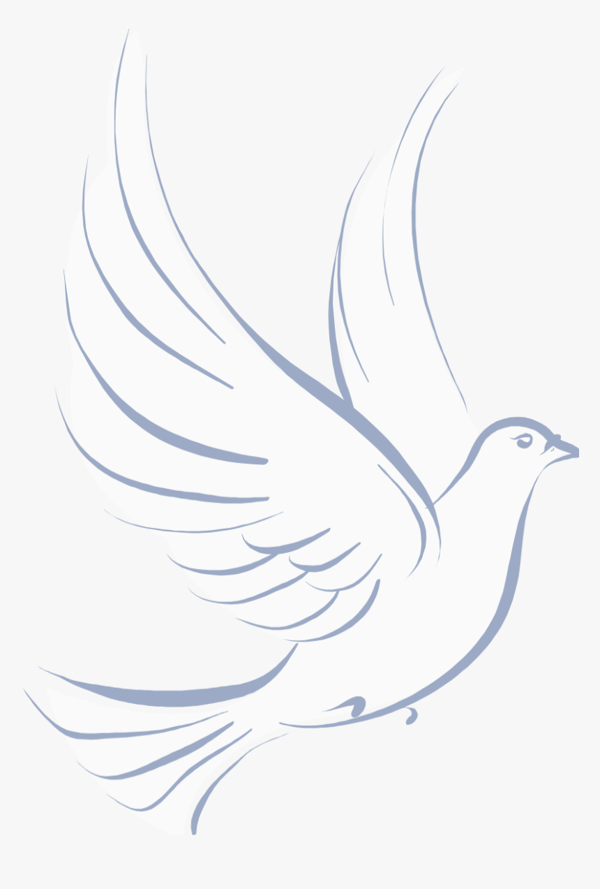 Stock Dove, HD Png Download