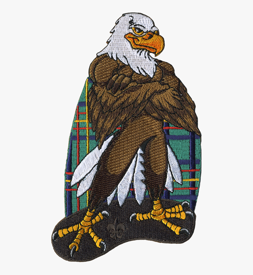 Transparent Cartoon Eagle Png - Illustration, Png Download