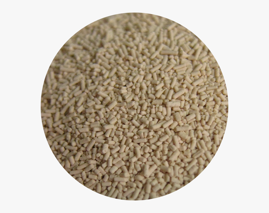 Fresh Yeast - Antique, HD Png Download