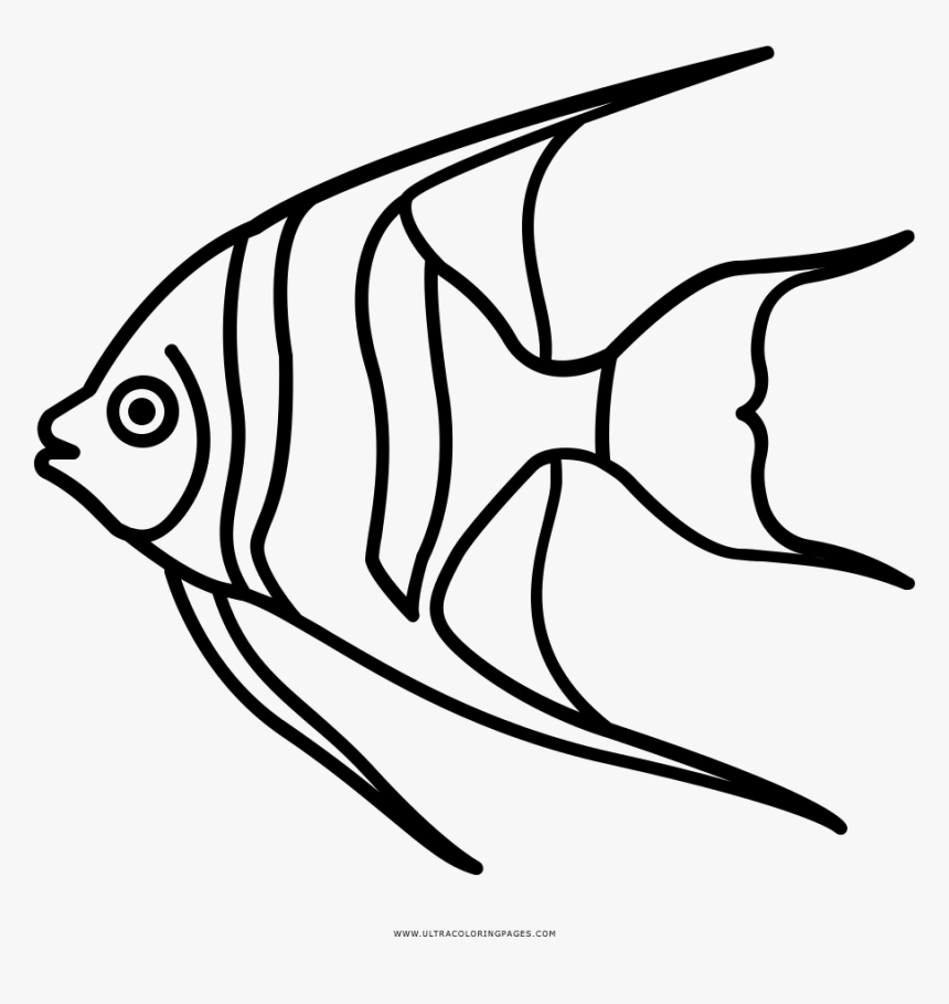 Coloring Pages Of Coral Reef Fish