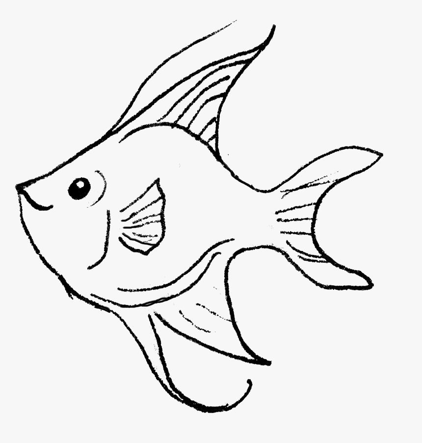 Angelfish , Png Download - Coral Reef Fish, Transparent Png