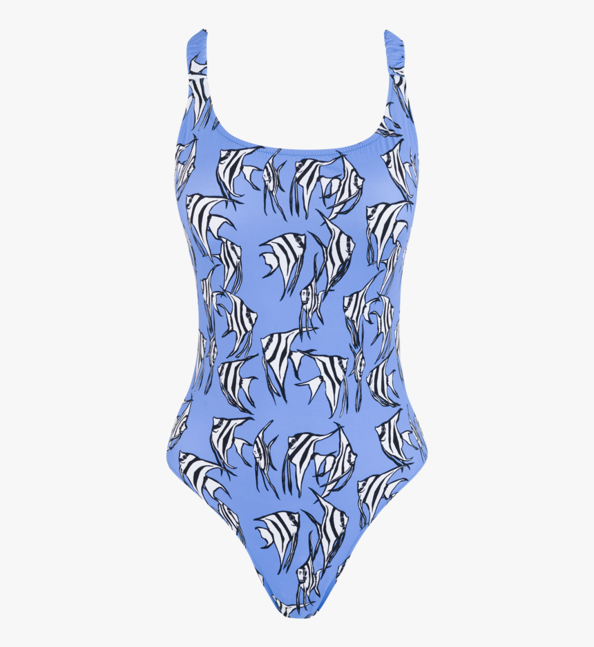 Select Blue Angelfish - Maillot, HD Png Download