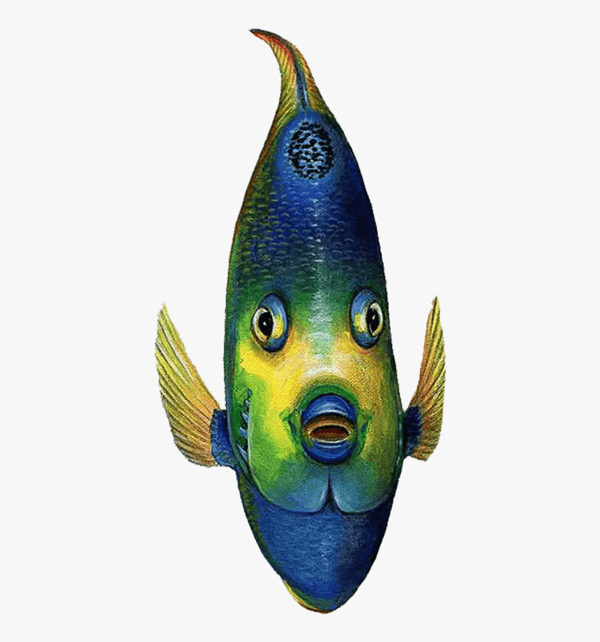 Queen Angelfish Front View Sea Life Wall Decal Sticker, HD Png Download
