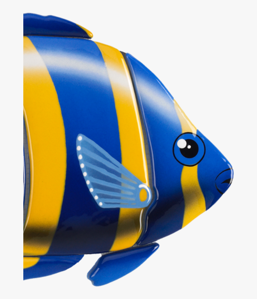 Angel Fish, HD Png Download