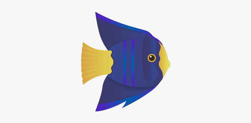 Coral Reef Fish, HD Png Download