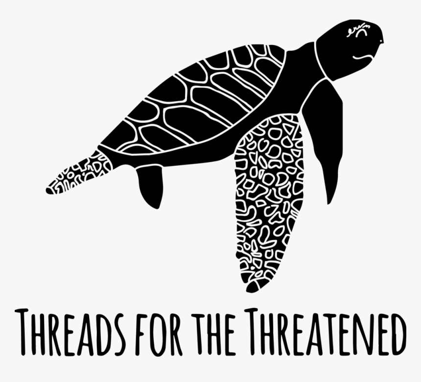 Transfer Baby Sea Turtle - Hawksbill Sea Turtle, HD Png Download