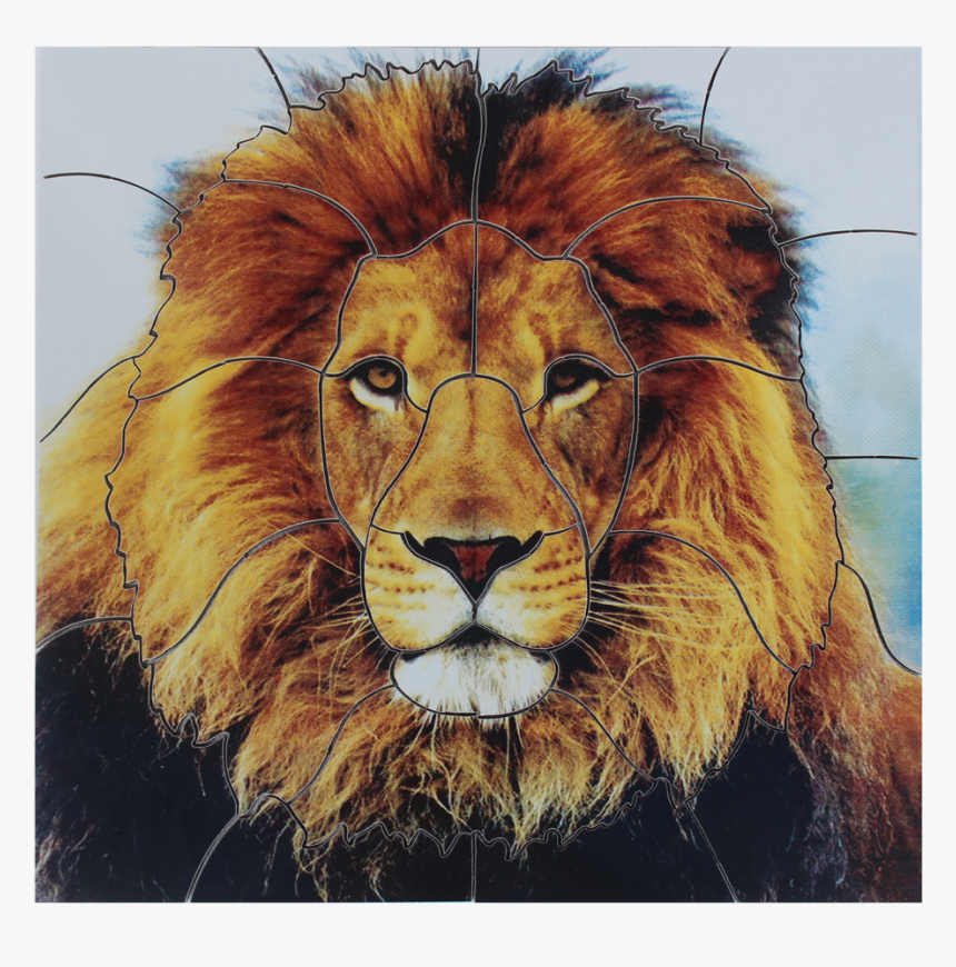 Lion - Wildlife Heritage Foundation, HD Png Download