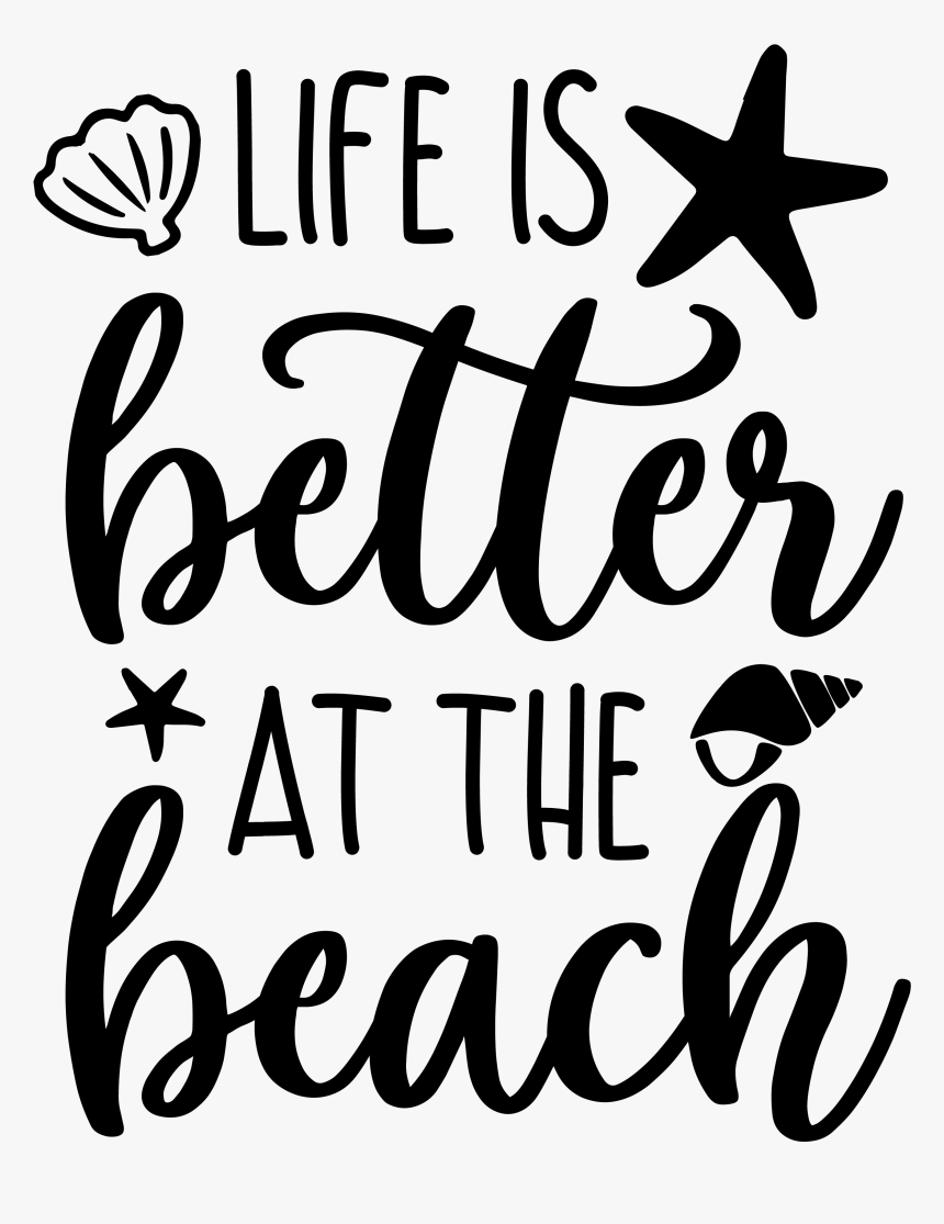 Caracol Marino Vector, HD Png Download