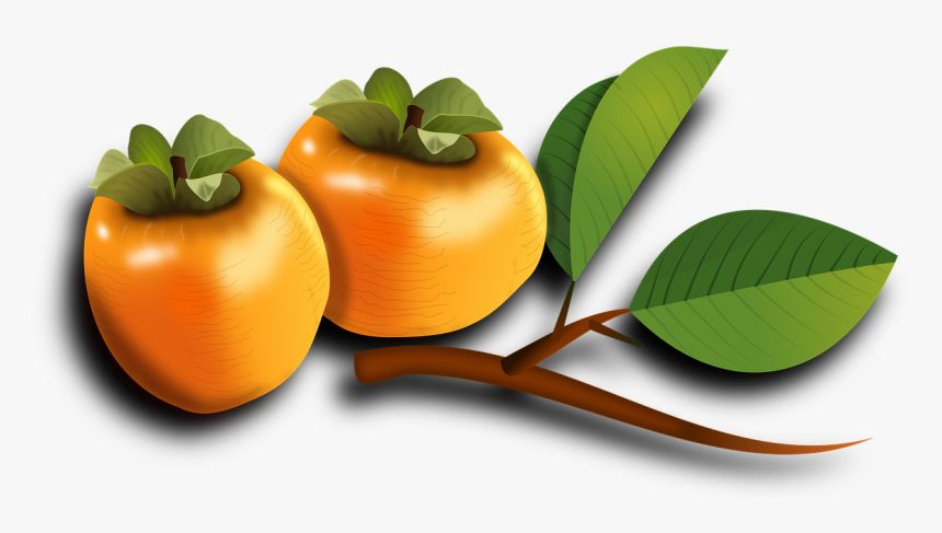 Japan Fruit Png, Transparent Png