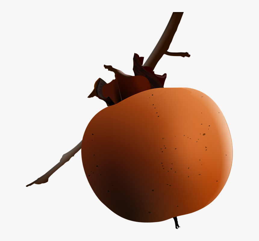 Persimmon, HD Png Download