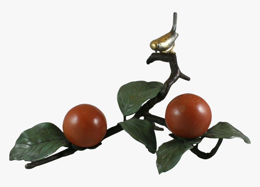 Bush Tomato, HD Png Download