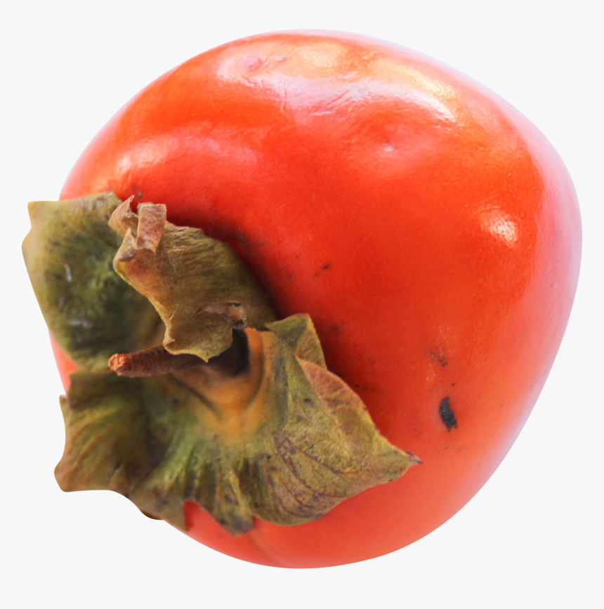 Persimmon, HD Png Download