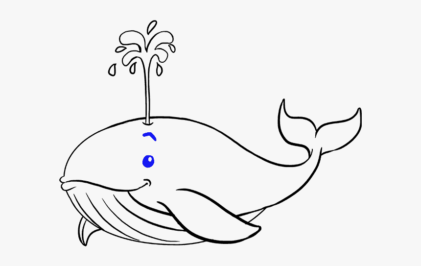 How To Draw Whale - Whale Drawing, HD Png Download