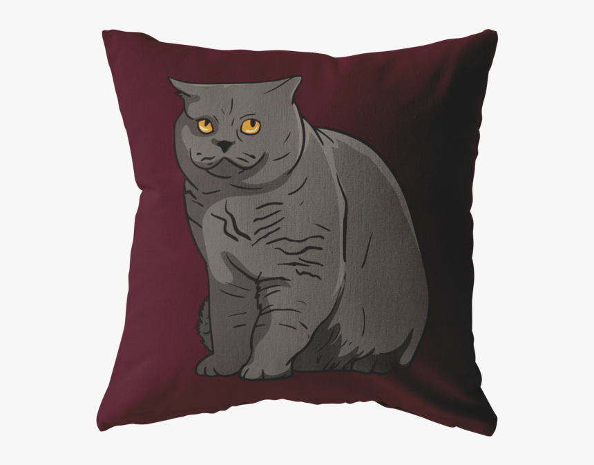 Transparent Gray Cat Png - Black Cat, Png Download