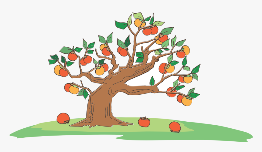 Botany,plant,leaf - Cartoon Background Tree With Fruit, HD Png Download