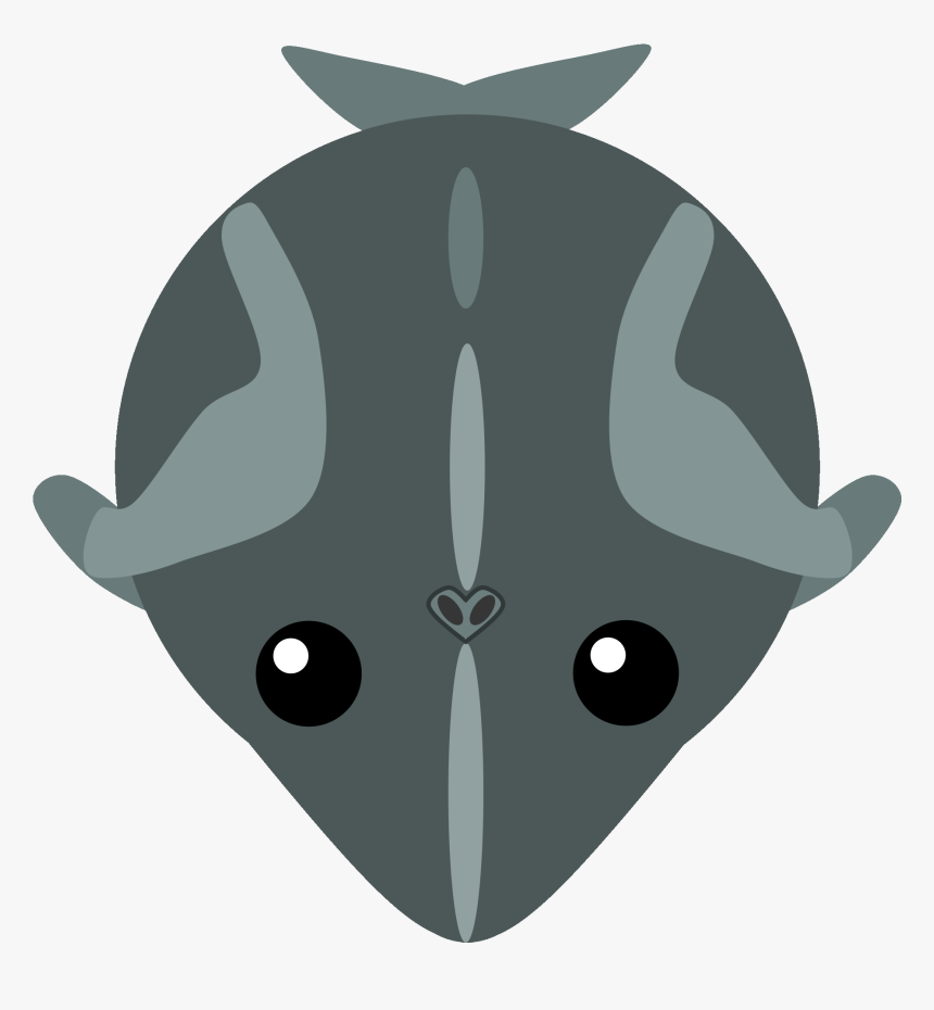 Transparent Gray Whale Clipart, HD Png Download