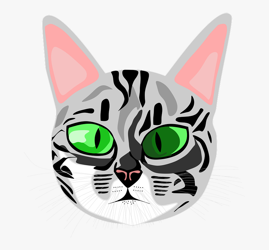 Cat Yawns, HD Png Download