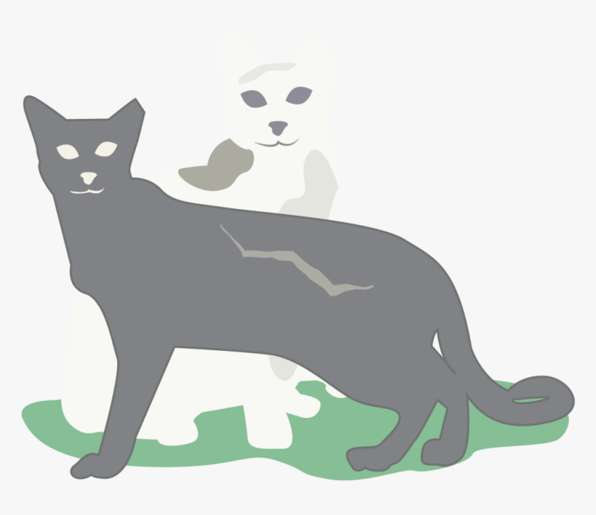 0218 Icehouse Discoverygreen Cat Ej3epv - Black Cat, HD Png Download