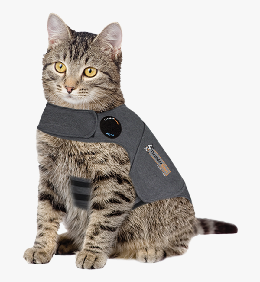 Thundershirt For Cats, HD Png Download