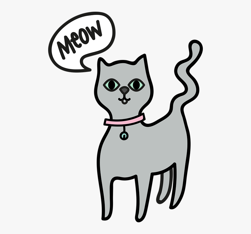 Cat, HD Png Download