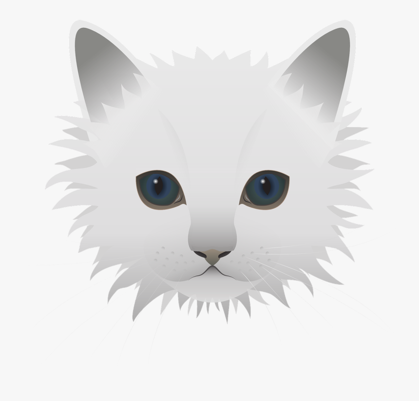 Cat, HD Png Download