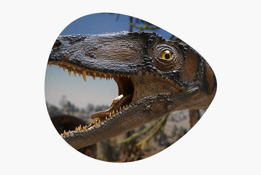 Mob-img3 - Dangerous Animals, HD Png Download