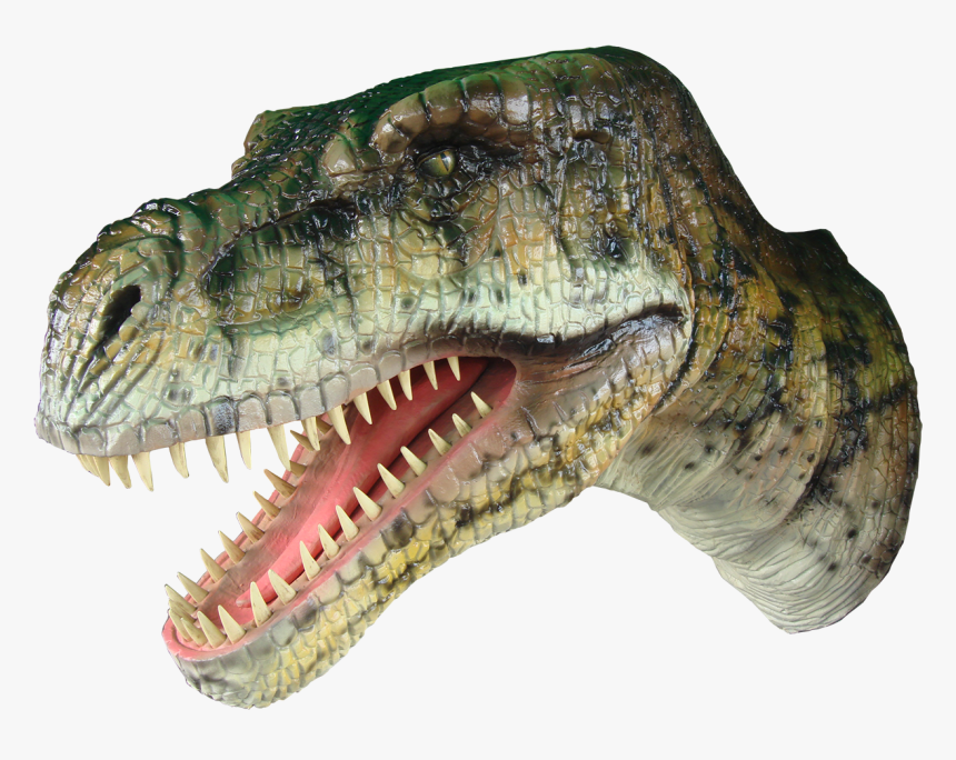 Dinosaur Head Hanging - Tyrannosaurus, HD Png Download