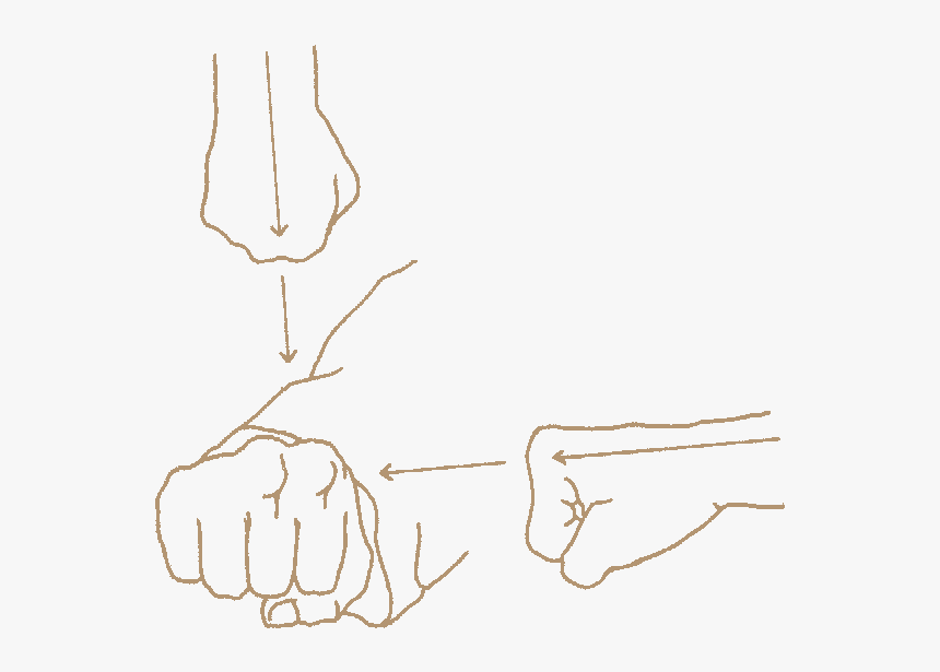 Sketch, HD Png Download