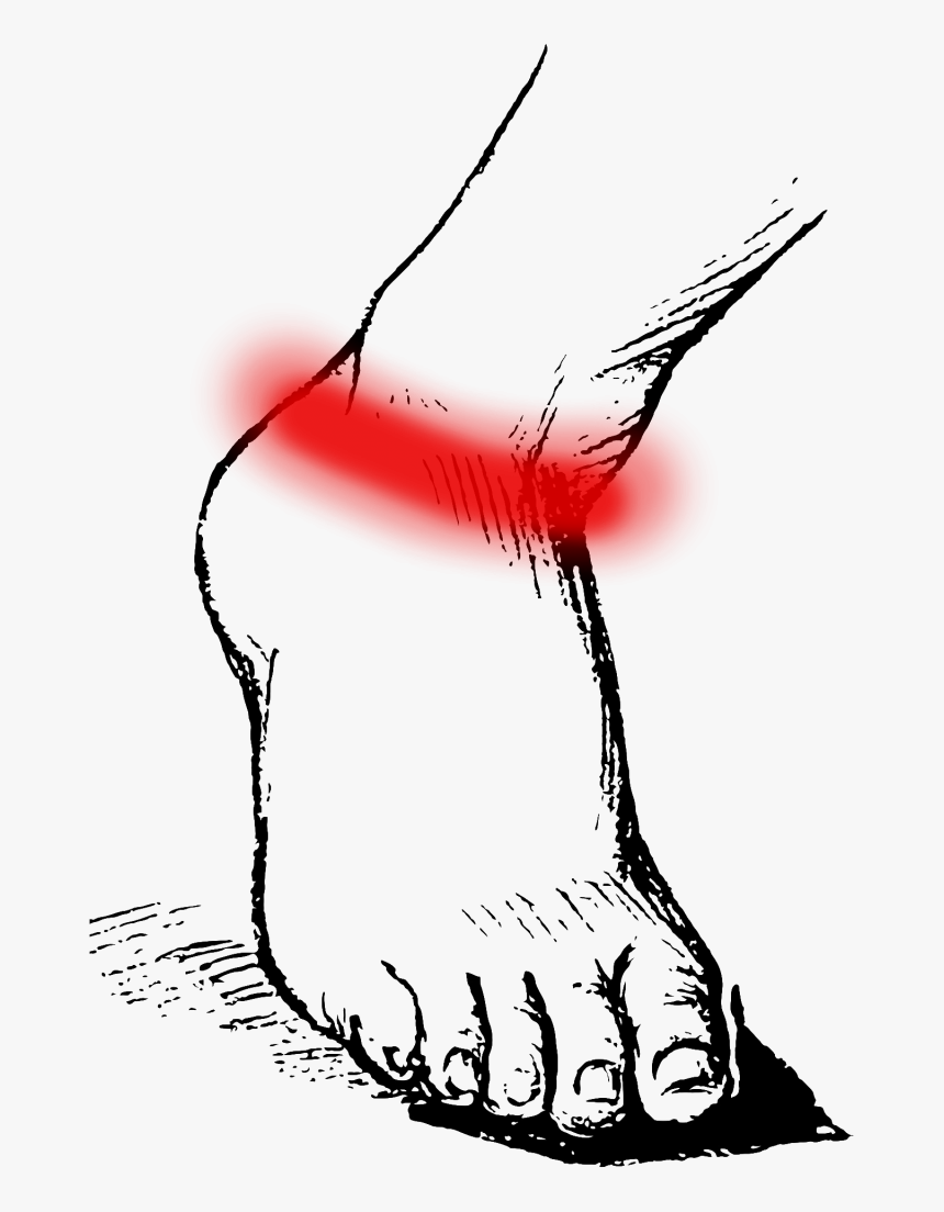 Clipart Black And White Foot Toe - Sketch, HD Png Download