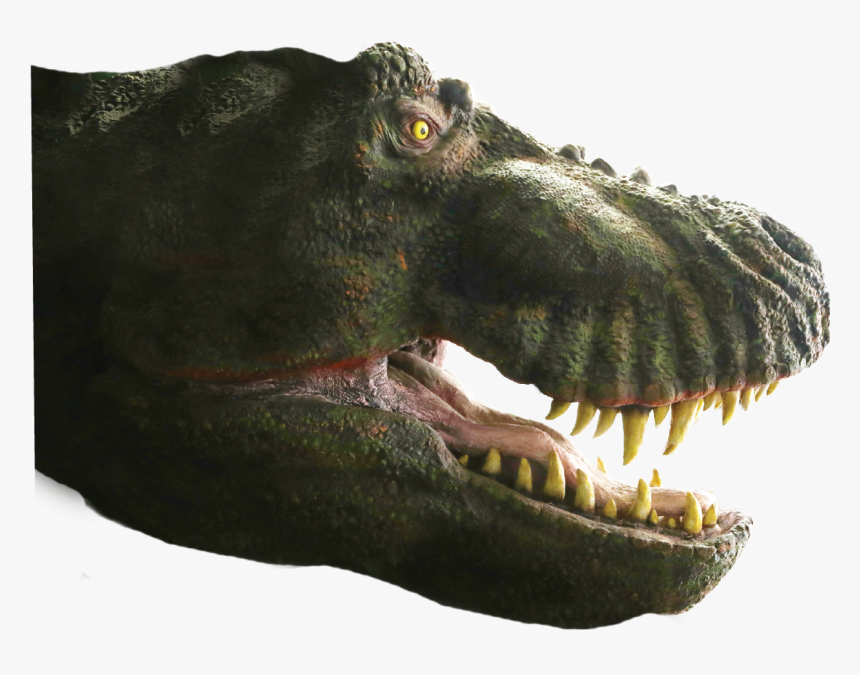 Asset-8dino7 - Tyrannosaurus, HD Png Download