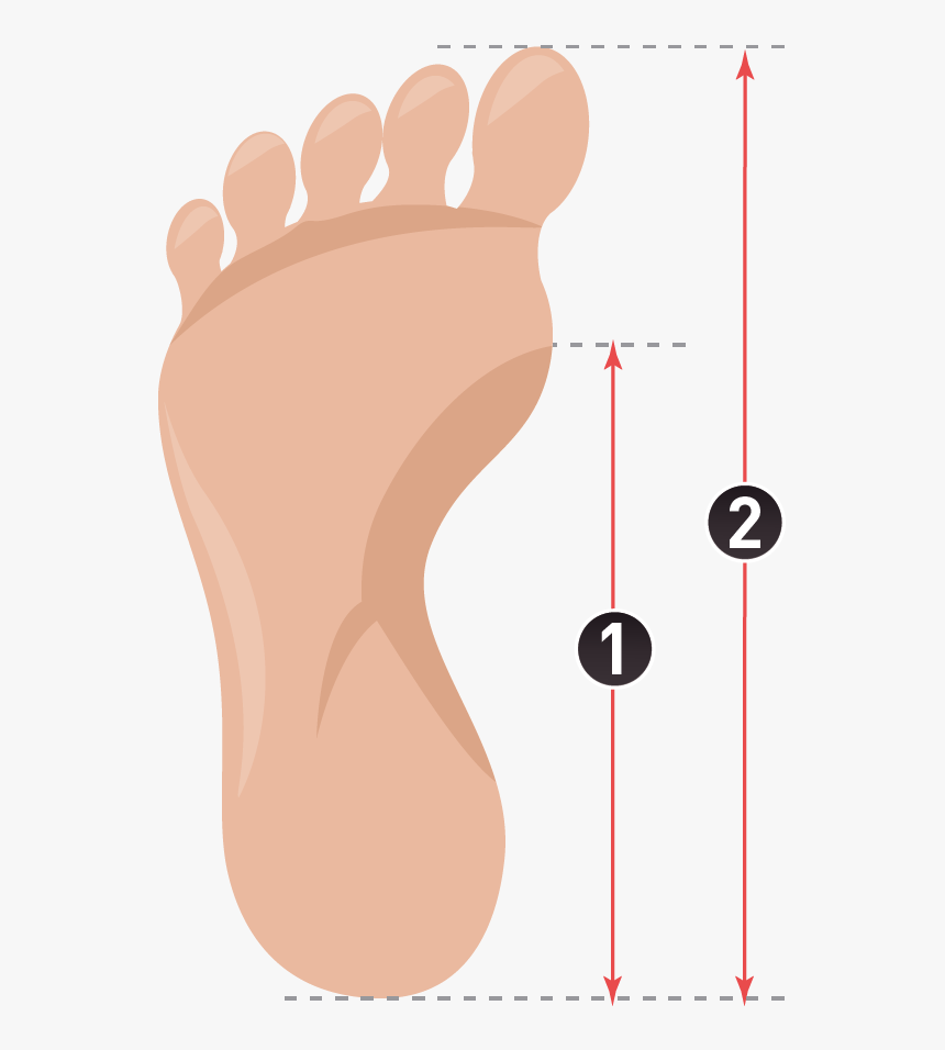 How To Measure Insoles - Paris Métro Line 2, HD Png Download