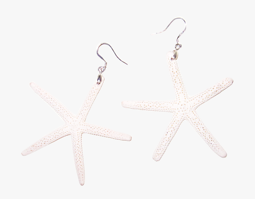 White Sugar Starfish Earrings - Earrings, HD Png Download