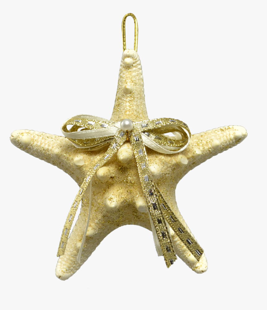 2 White Knobby Starfish Christmas Holidays Ornaments - Pendant, HD Png Download