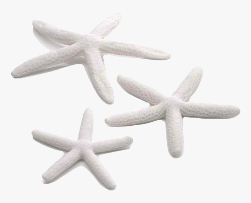 Biorb Starfish Set 3per Pk White 46134 , Png Download - Biorb Starfish Set 3, Transparent Png