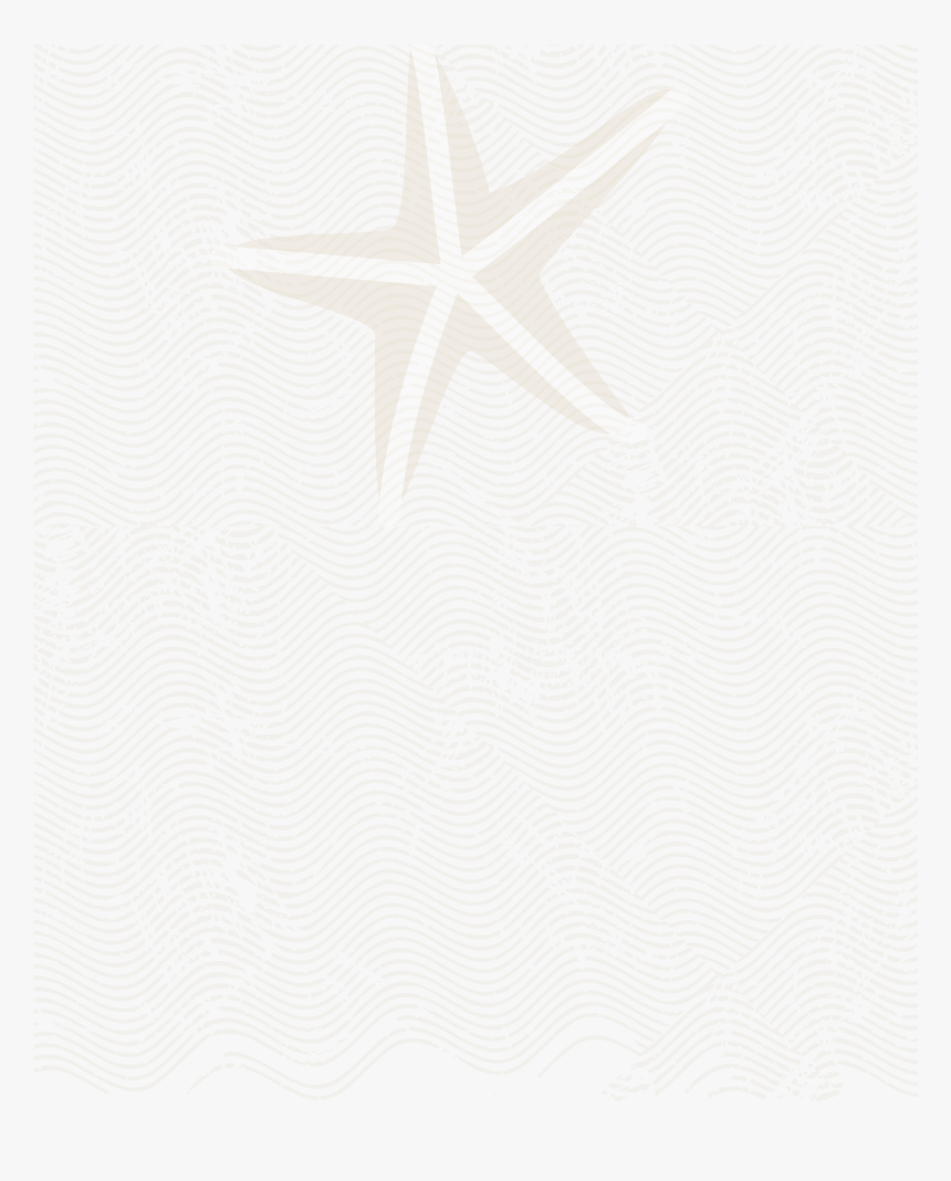 Starfish, HD Png Download