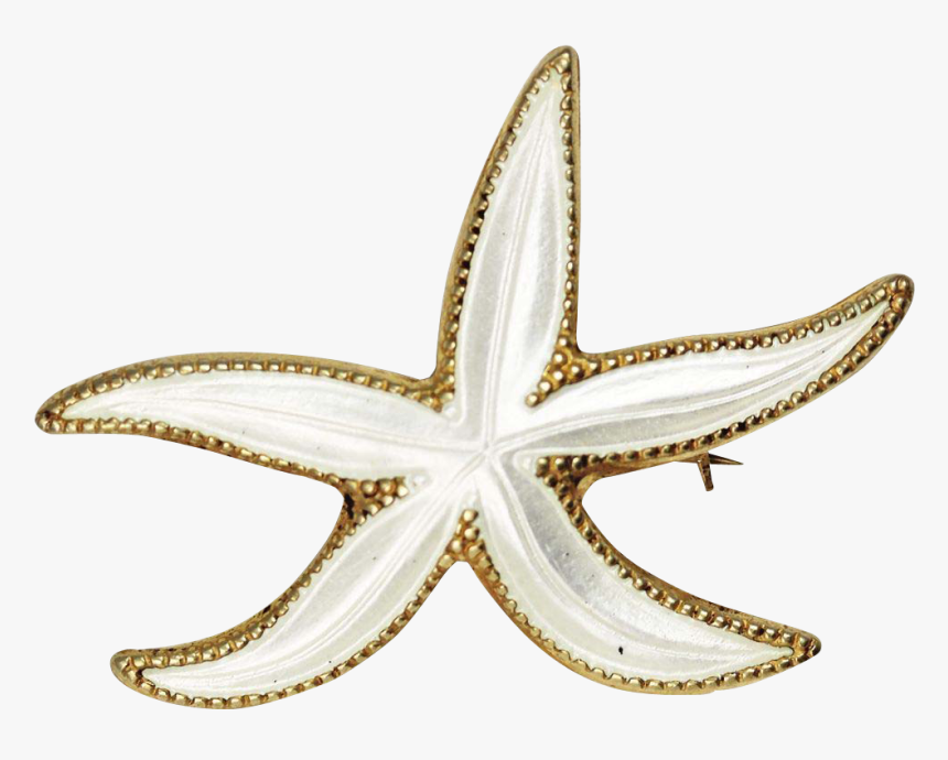 Starfish, HD Png Download