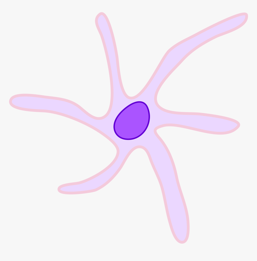 Starfish, HD Png Download