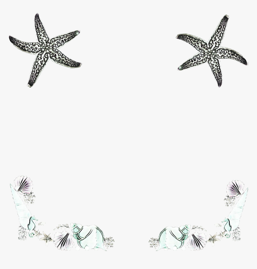 #seashell #seashells #cones #starfish #aquatic #ocean, HD Png Download
