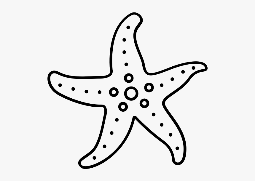 Class Lazyload Lazyload Mirage Cloudzoom Featured Image - Starfish, HD Png Download