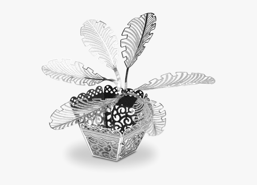 Picture Of Sago Palm Tree - Palm Trees, HD Png Download