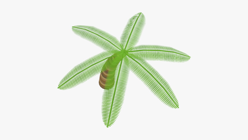 Coconut, HD Png Download