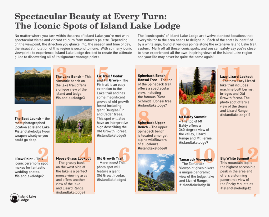 Untitled, Tailpiece, Pg. 135, In The Book Dingo By, HD Png Download