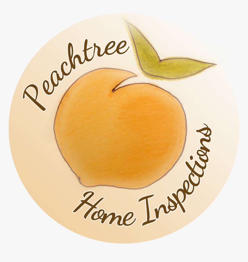 Transparent Peach Tree Png - Trail, Png Download