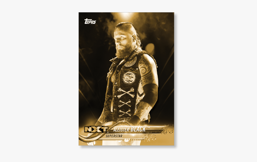 2018 Topps Wwe Aleister Black Base Poster Gold Ed - Wwe Nxt, HD Png Download